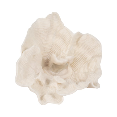 12 Coral Fan D?cor, Ivory