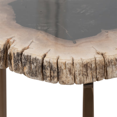 Petrified Wood, 21 Accent Table, Multi