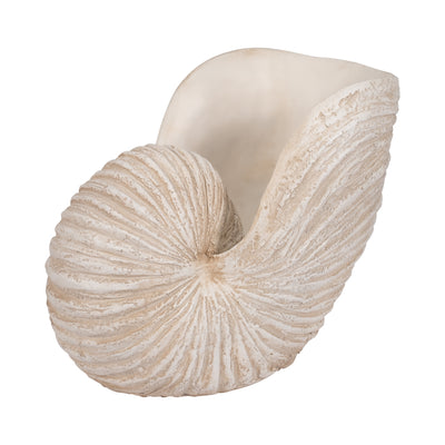 18 Shell Sculpture, Ivory