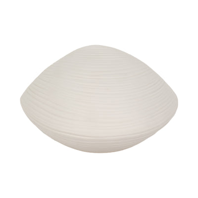 6 Seashell Decor, White