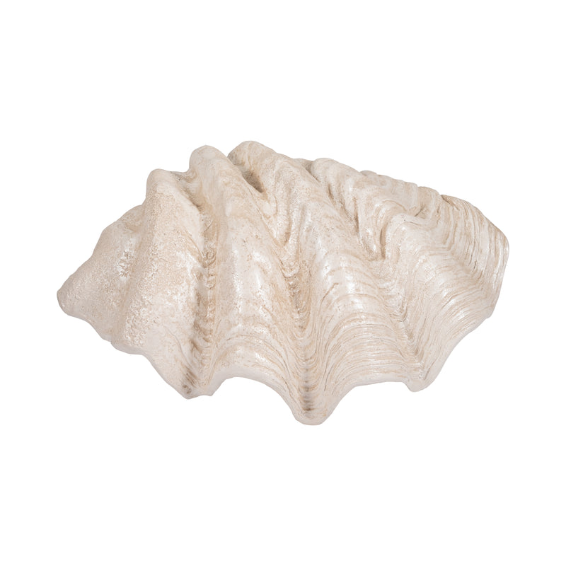 25 Pearlized Clam Shell Bowl, Ivory