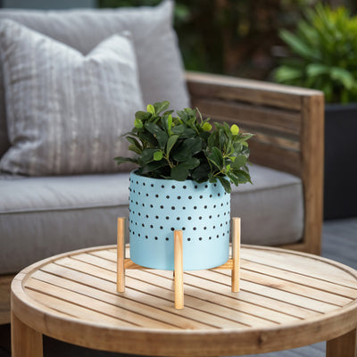 10 DOTTED PLANTER W/ WOOD STAND, BLUE