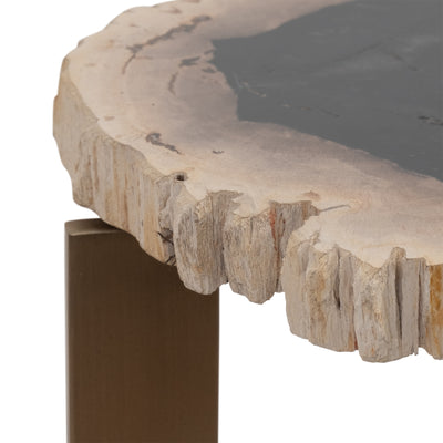 Petrified Wood, 21 Accent Table, Multi