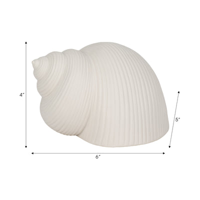 6 Bonnet Seashell, White