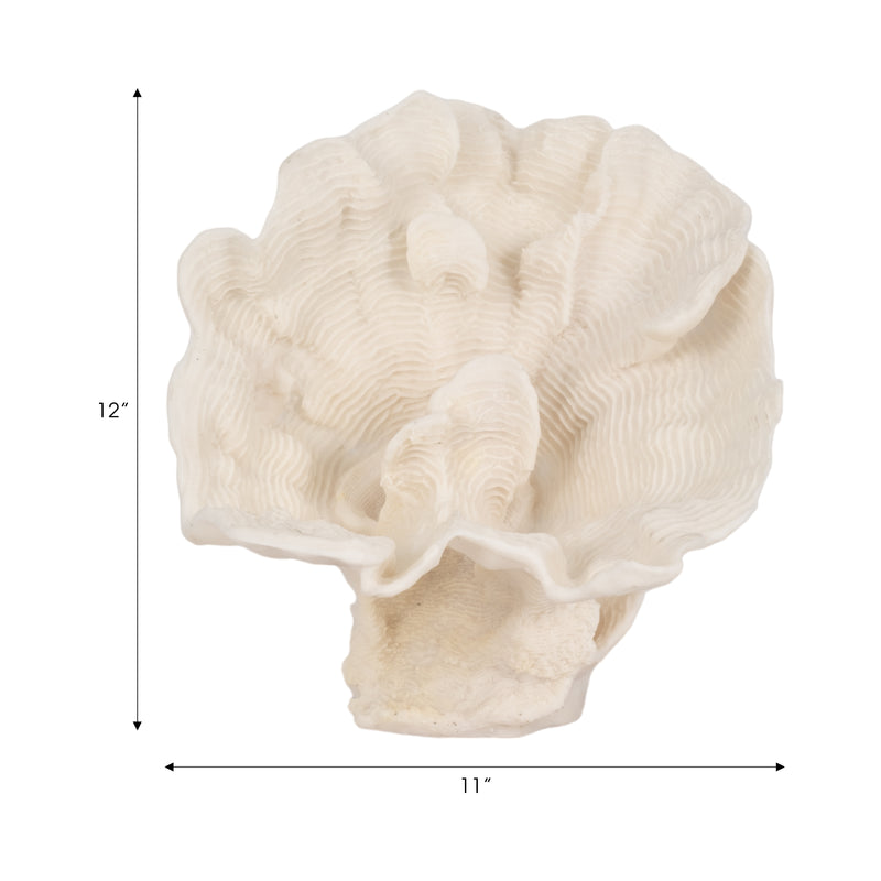 12 Coral Fan D?cor, Ivory