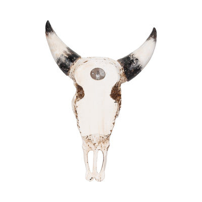 19 Western Bull Skull, Brown