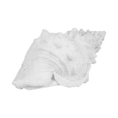 9 Conch Shell, White