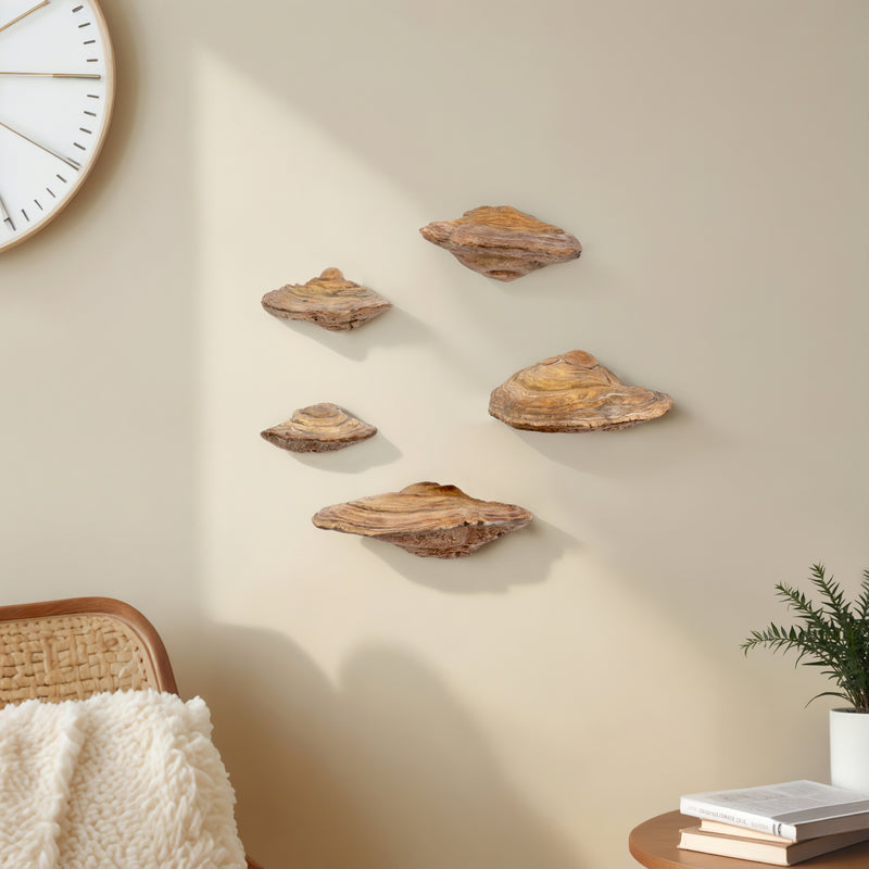 S/5 5/6/7/8/9 Fungi Mushroom Wall Decor, Natural