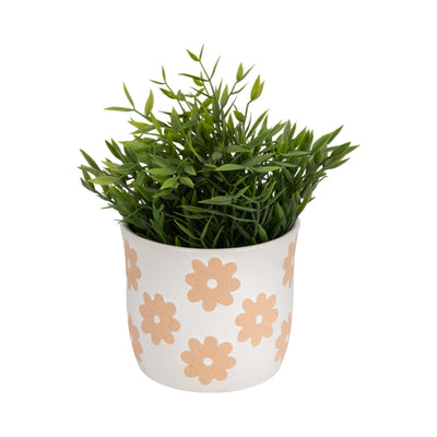 6 Flower Power Planter, White/tan