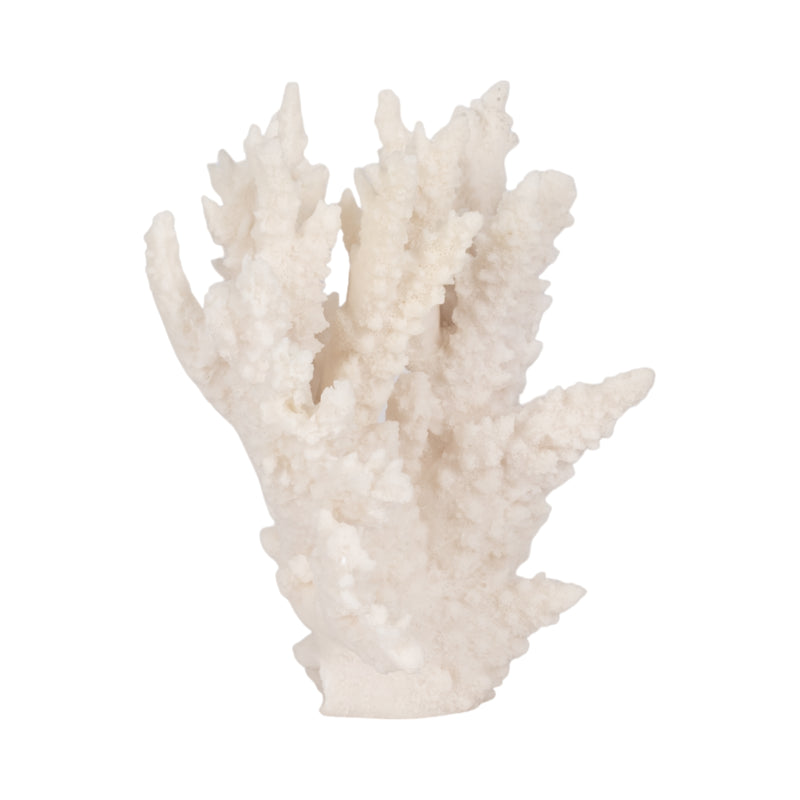 10 Coral Reef D?cor, White