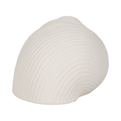 6 Bonnet Seashell, White