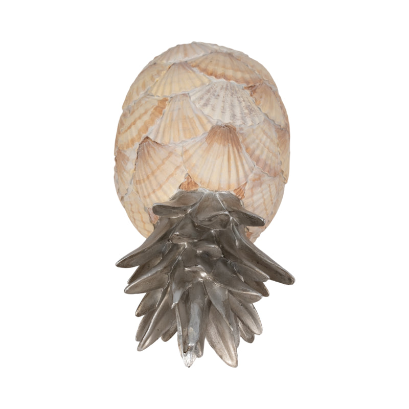 12 Seashell Pineapple, Multi