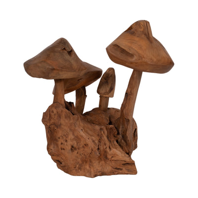 12 Teak Wood Mushroom Cluster, Natural