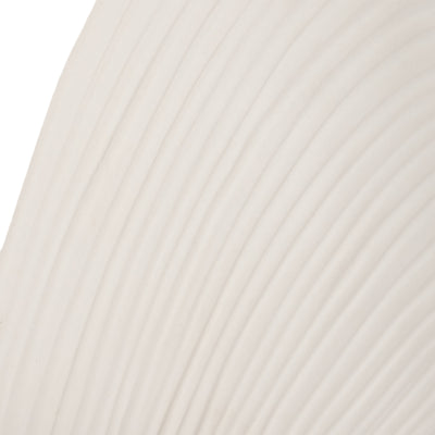 6 Seashell Decor, White