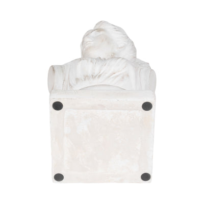 20 Venus Bust Distressed Resin, White