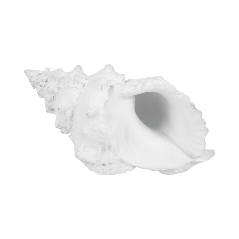 9 Conch Shell, White