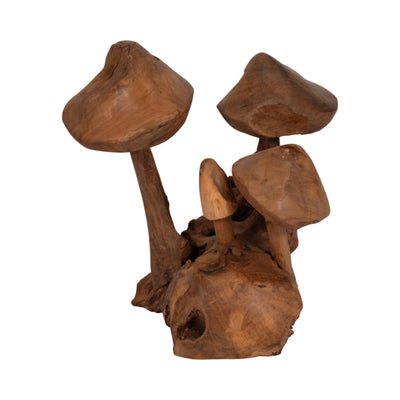 12 Teak Wood Mushroom Cluster, Natural