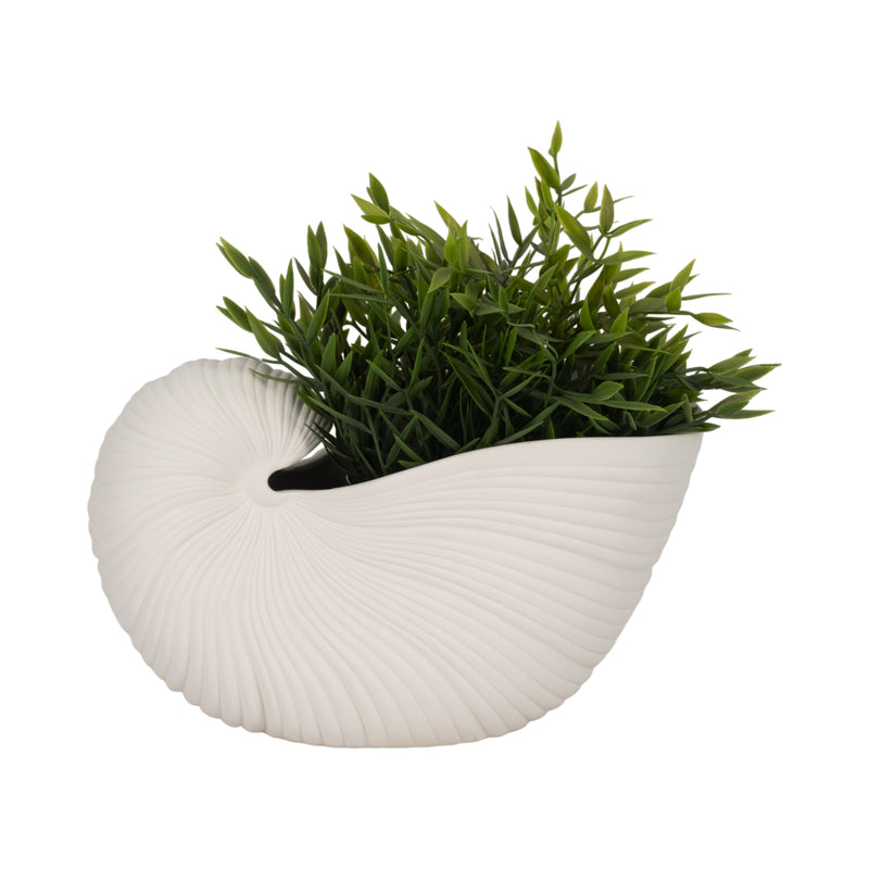 10 Nautilus Shell Planter, White