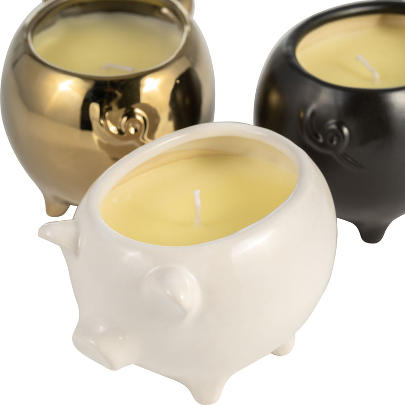 S/3 7 9 Oz Vanilla Sandalwood Pig Candle, Multi