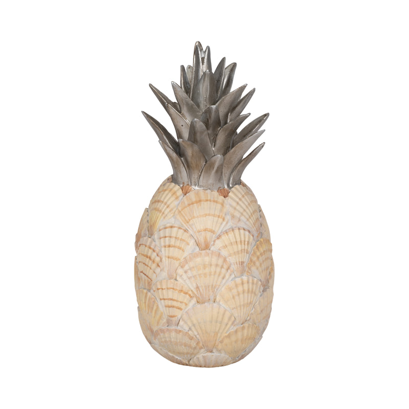 12 Seashell Pineapple, Multi