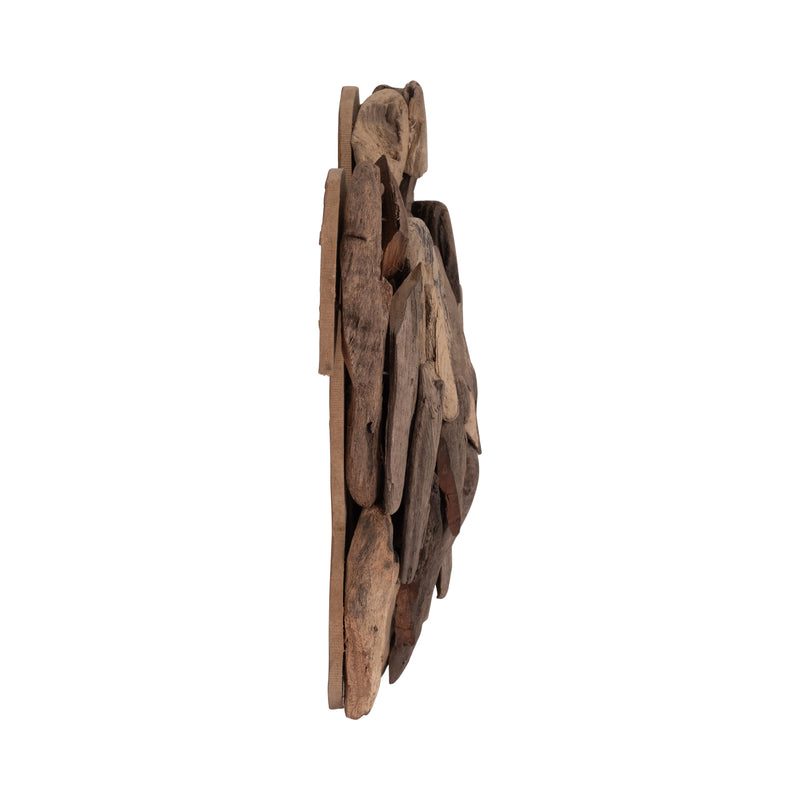 DRIFTWOOD, 12H TURTLE DECO, NATURAL