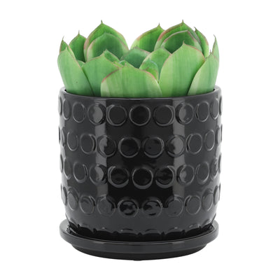 S/2 5/6 BUBBLE PLANTER W. SAUCER, BLACK