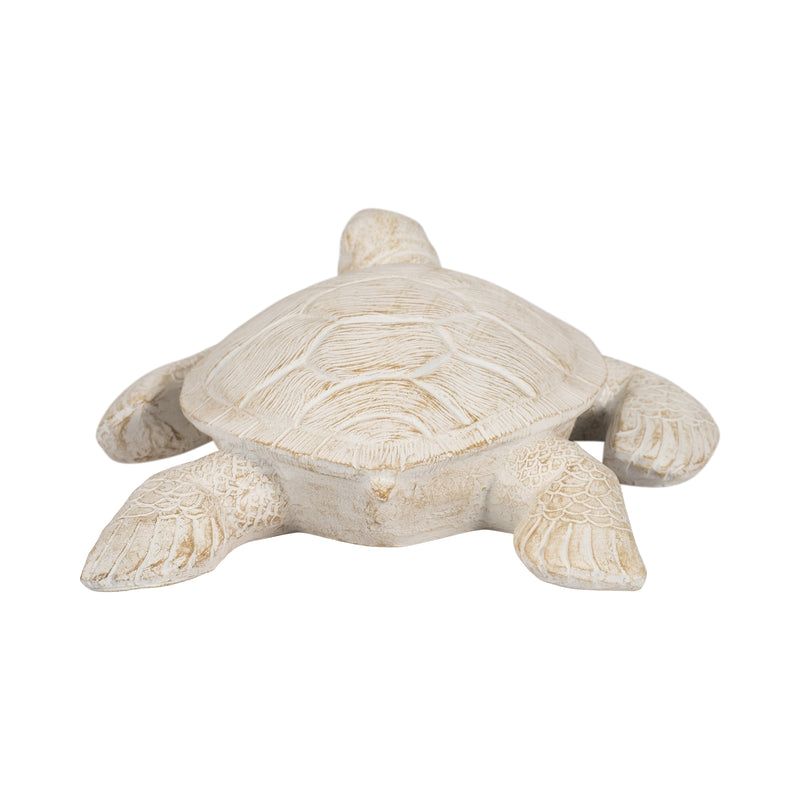 10 Sea Turtle, Ivory