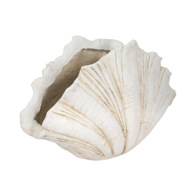 22 Scallop Shell Decor, White