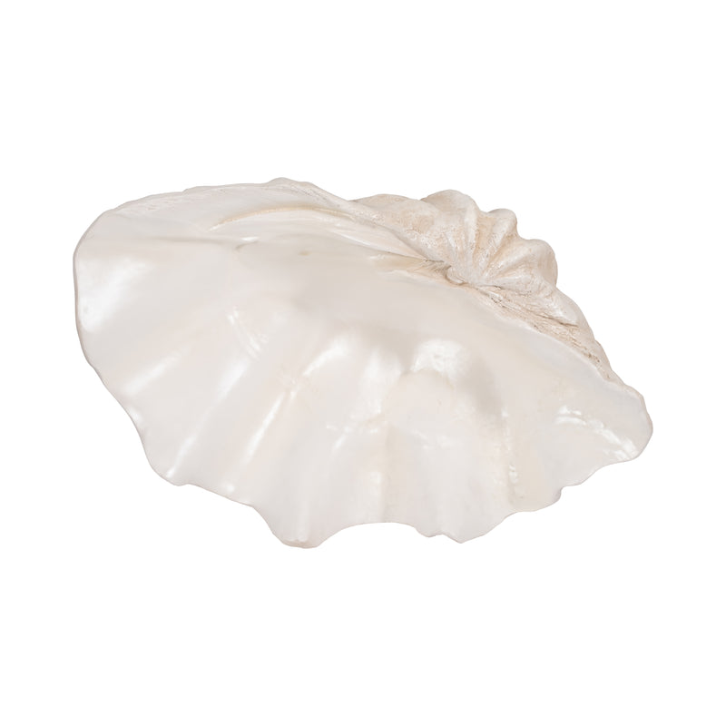 25 Pearlized Clam Shell Bowl, Ivory