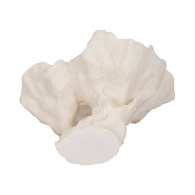 12 Coral Fan D?cor, Ivory