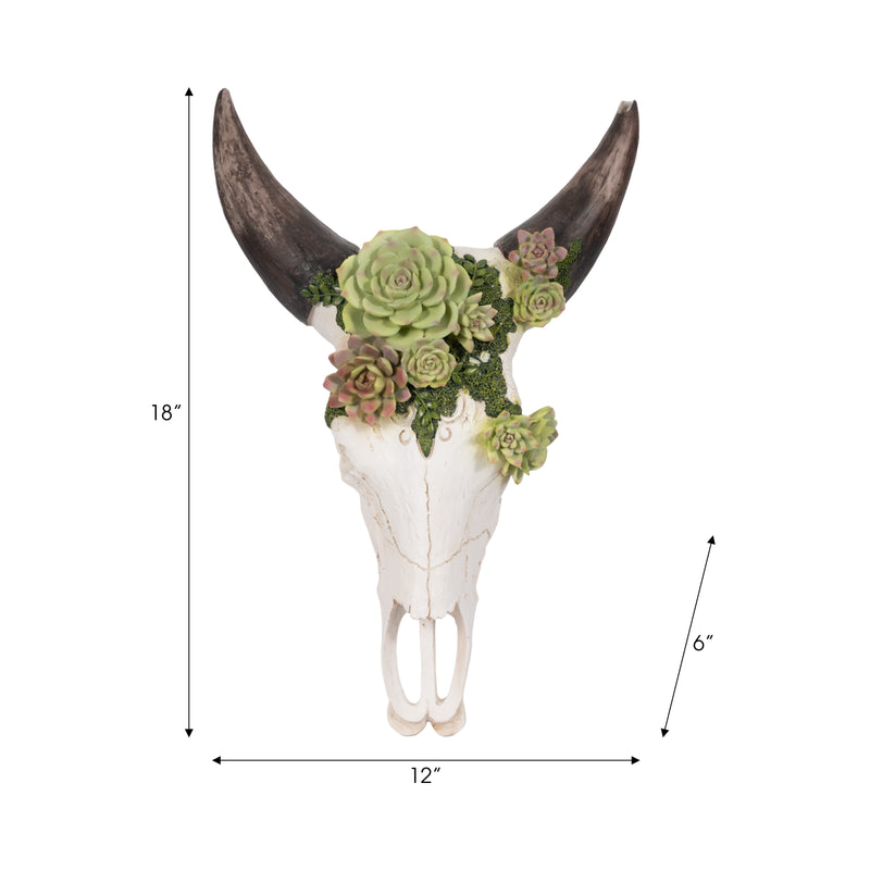 18 Bull Skull With Succulents, Multi