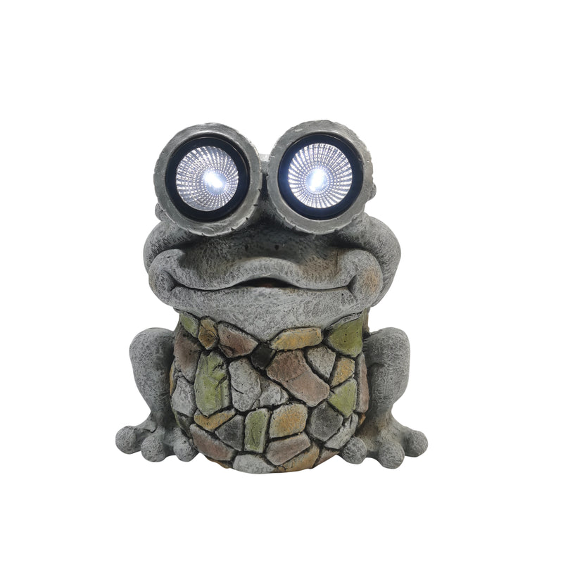 12 Frog With Solar Goggles, Multi