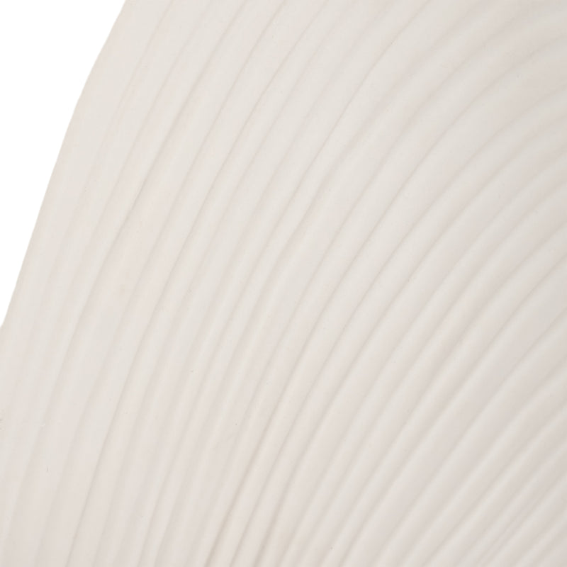 6 Seashell Decor, White