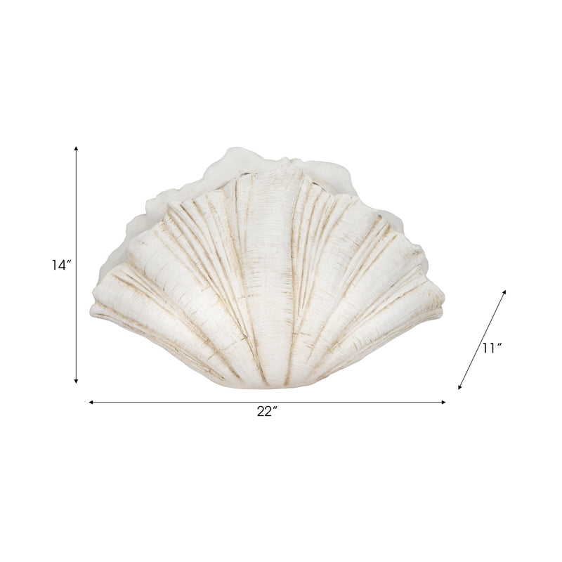 22 Scallop Shell Decor, White