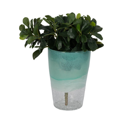 9 Fluted Glass Vase, Aqua Haze