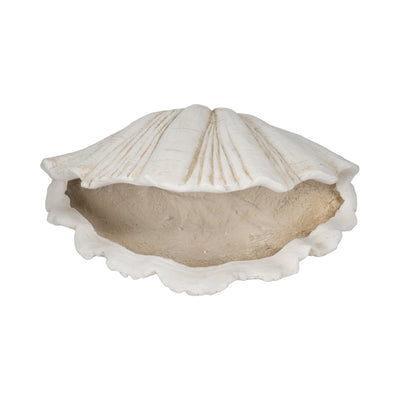 22 Scallop Shell Decor, White