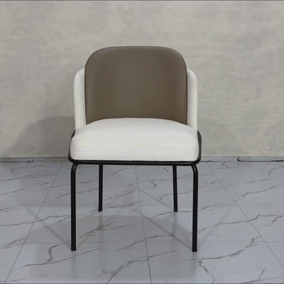 Matte Black Dining Chair