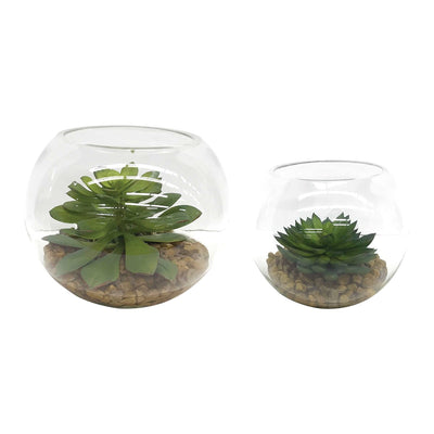 Eloy Terrariums, S/2