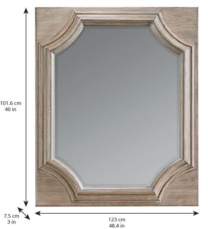 Arch Salvage Searles Mirror (2238276206688)