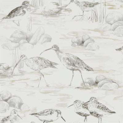 Estuary Birds