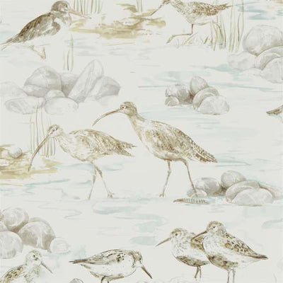 Estuary Birds