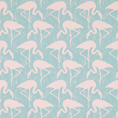 Flamingos