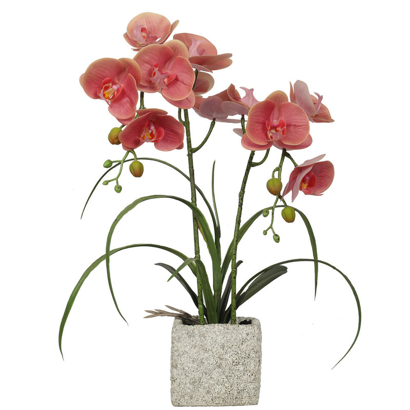 Artificial Potted Orchids 51CM Indoor Champagne (6646806347872)